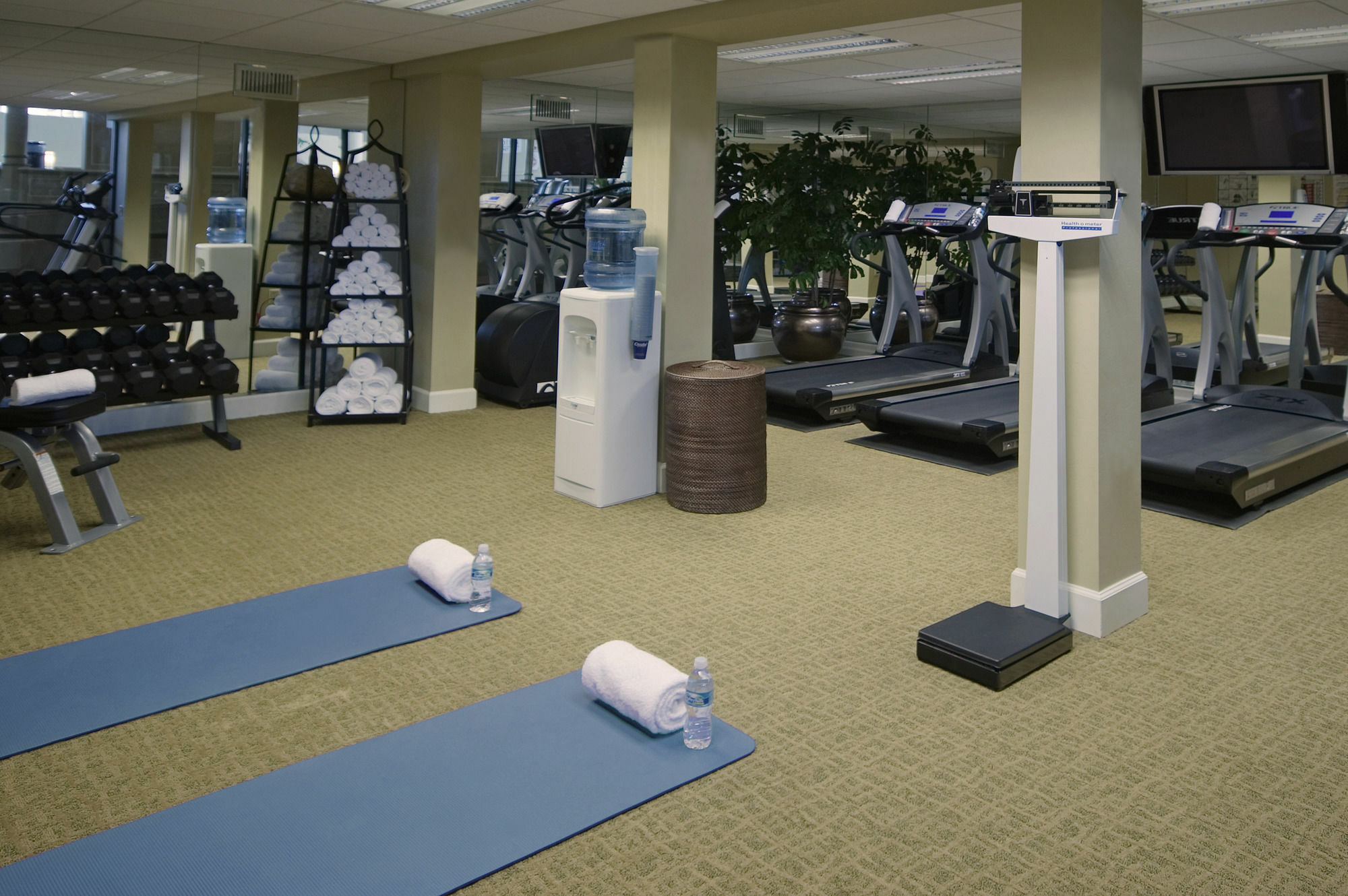 Crowne Plaza Jacksonville Airport By Ihg Exteriör bild